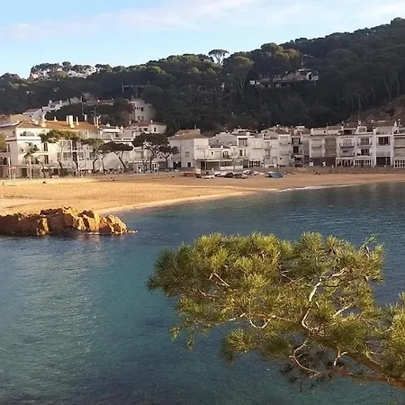 Precioso Con Piscina En Apartament Tamariu